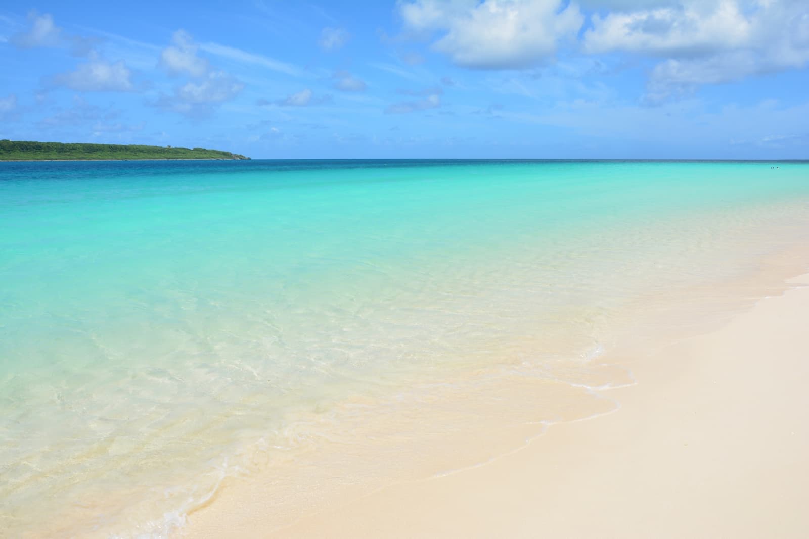 合同会社ビジョンイメージ画像